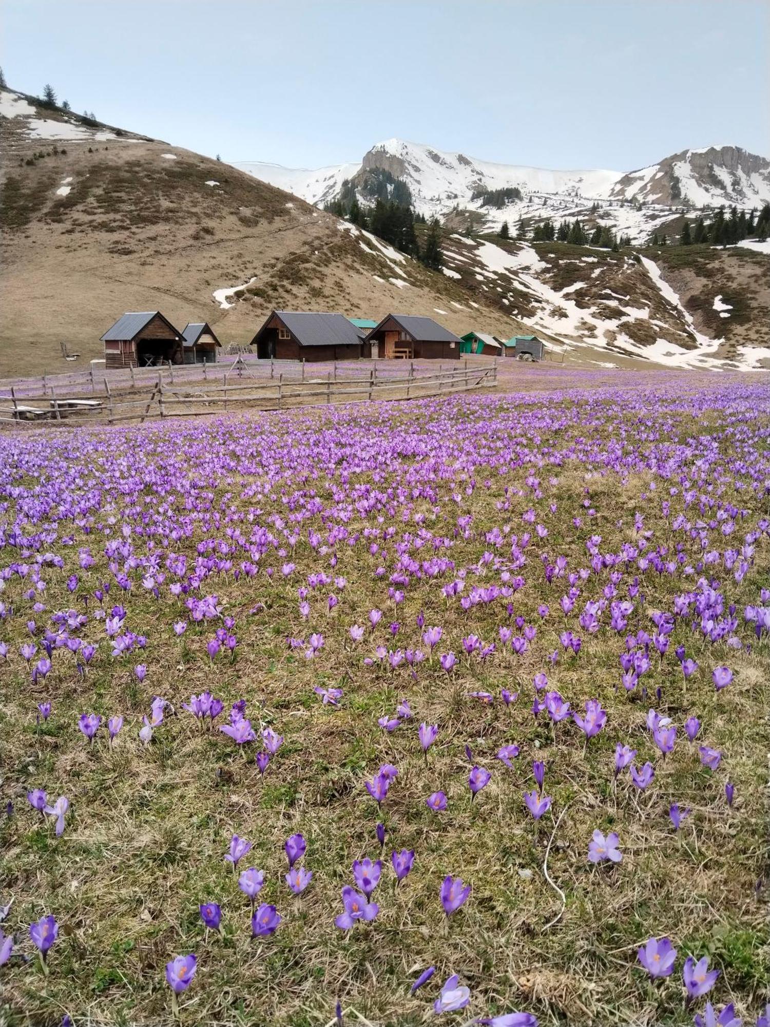 Willa Katun Siska Medna Dolina Berane Zewnętrze zdjęcie